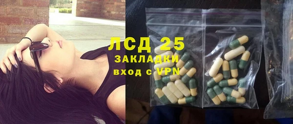 ПСИЛОЦИБИНОВЫЕ ГРИБЫ Баксан