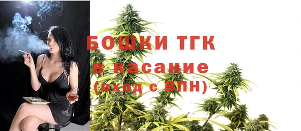 ПСИЛОЦИБИНОВЫЕ ГРИБЫ Баксан
