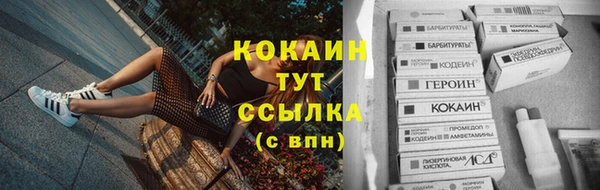 ПСИЛОЦИБИНОВЫЕ ГРИБЫ Баксан