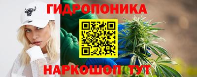 марихуана Гатчина