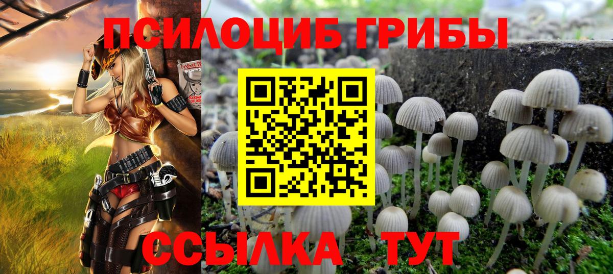 Псилоцибиновые грибы Magic Shrooms Белово