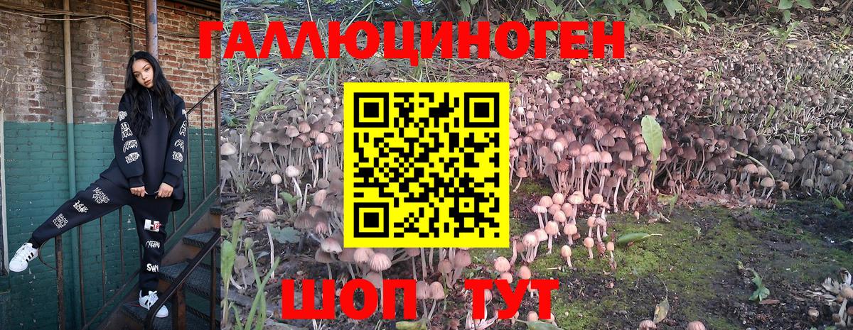 Белово  Галлюциногенные грибы мухоморы  Вход с VPN 