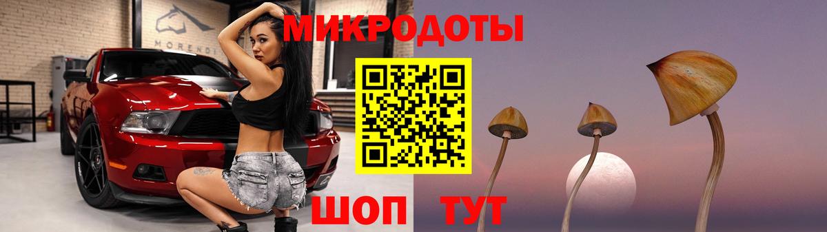 Галлюциногенные грибы Psilocybe Белово